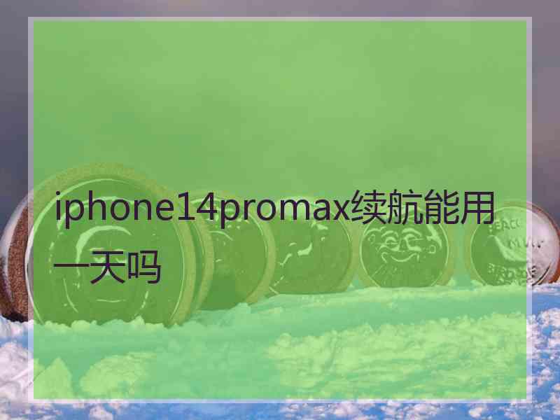 iphone14promax续航能用一天吗