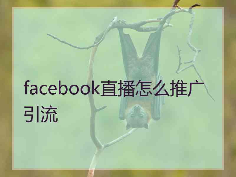 facebook直播怎么推广引流