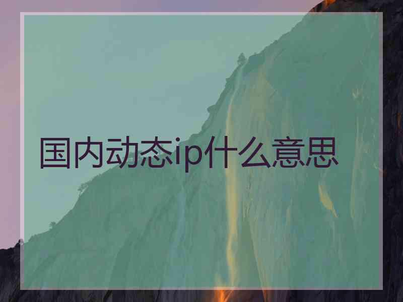 国内动态ip什么意思