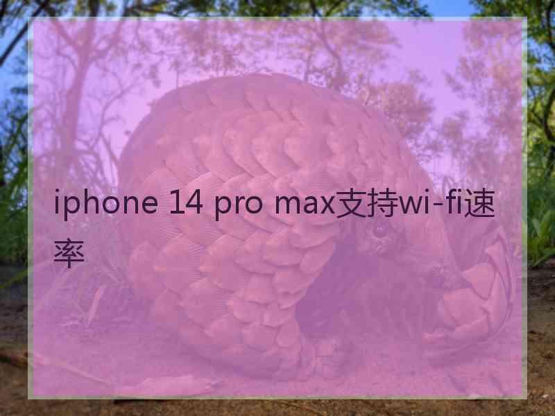 iphone 14 pro max支持wi-fi速率