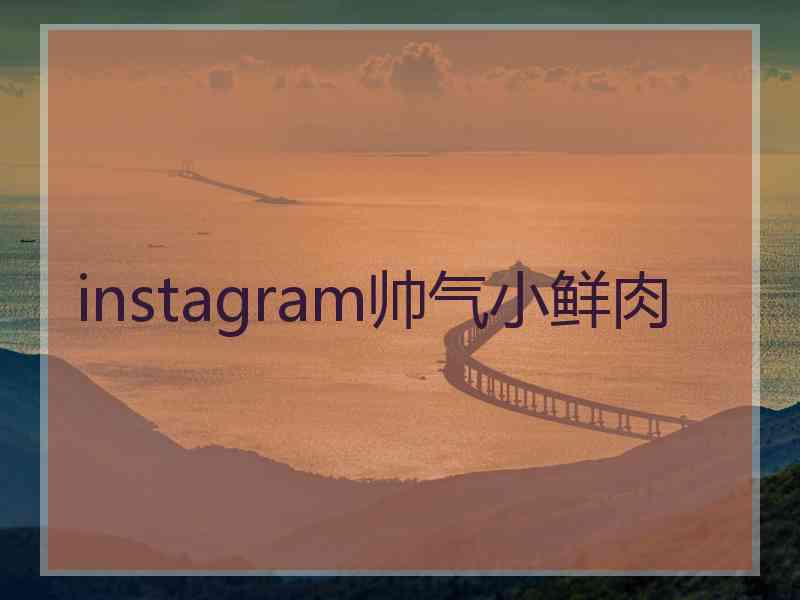 instagram帅气小鲜肉