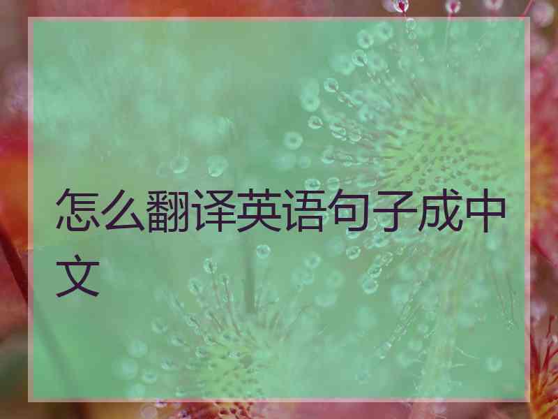 怎么翻译英语句子成中文