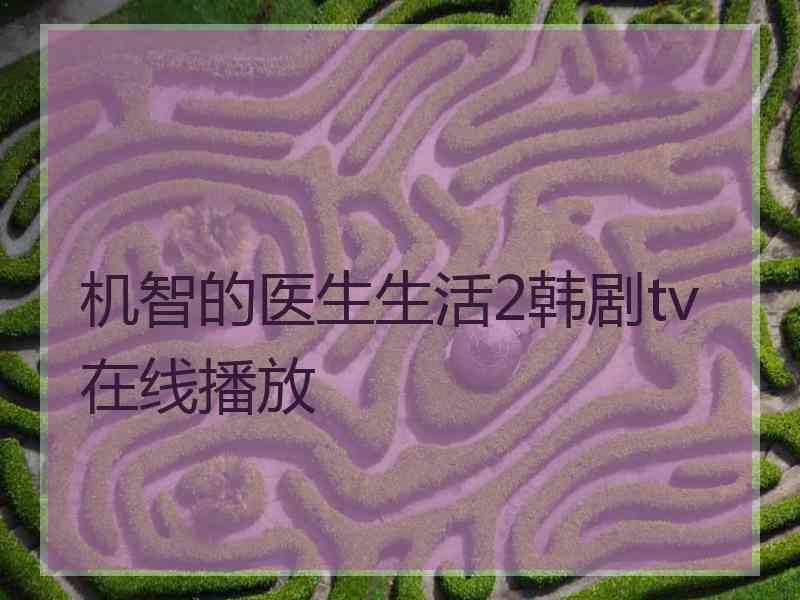 机智的医生生活2韩剧tv在线播放