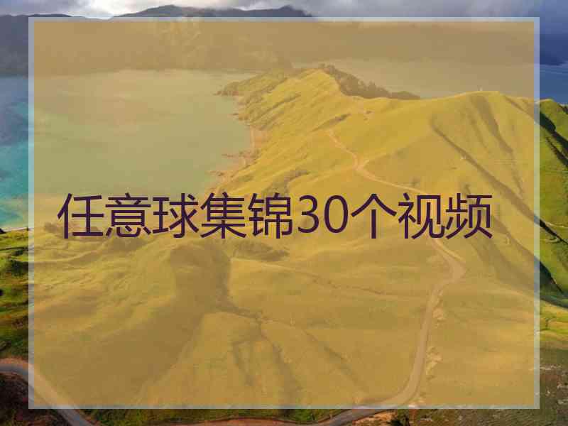 任意球集锦30个视频