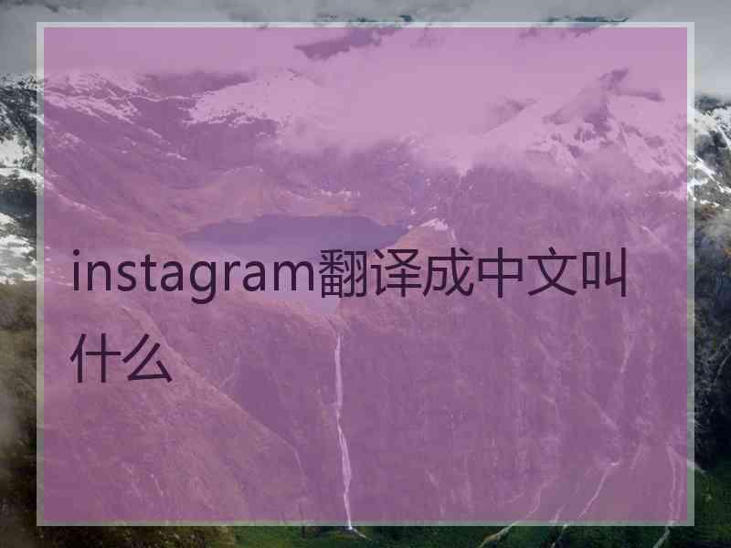 instagram翻译成中文叫什么