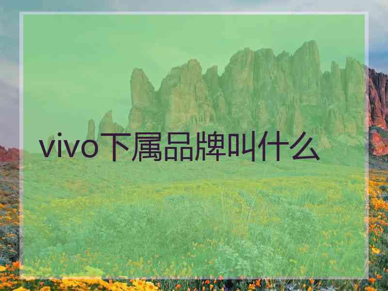 vivo下属品牌叫什么