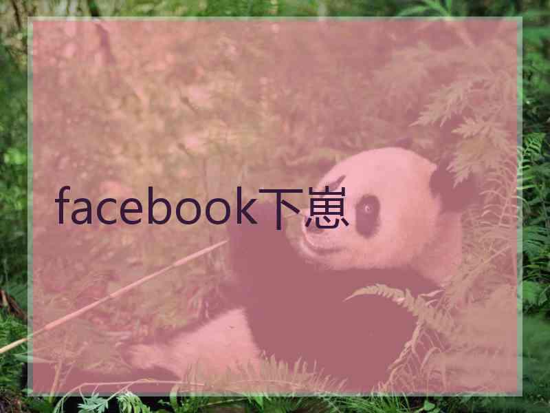 facebook下崽