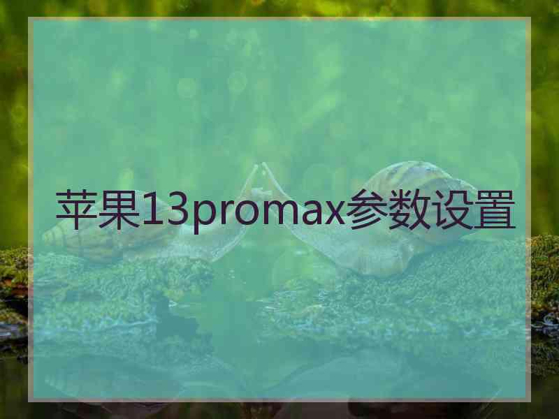 苹果13promax参数设置