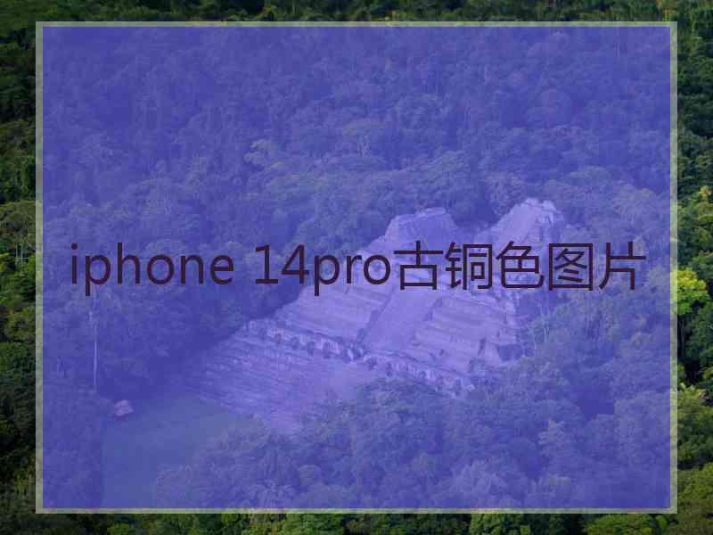 iphone 14pro古铜色图片