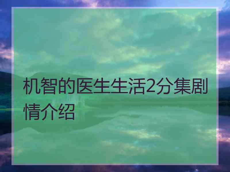 机智的医生生活2分集剧情介绍