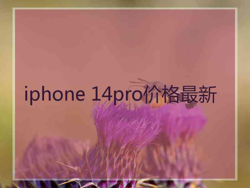 iphone 14pro价格最新