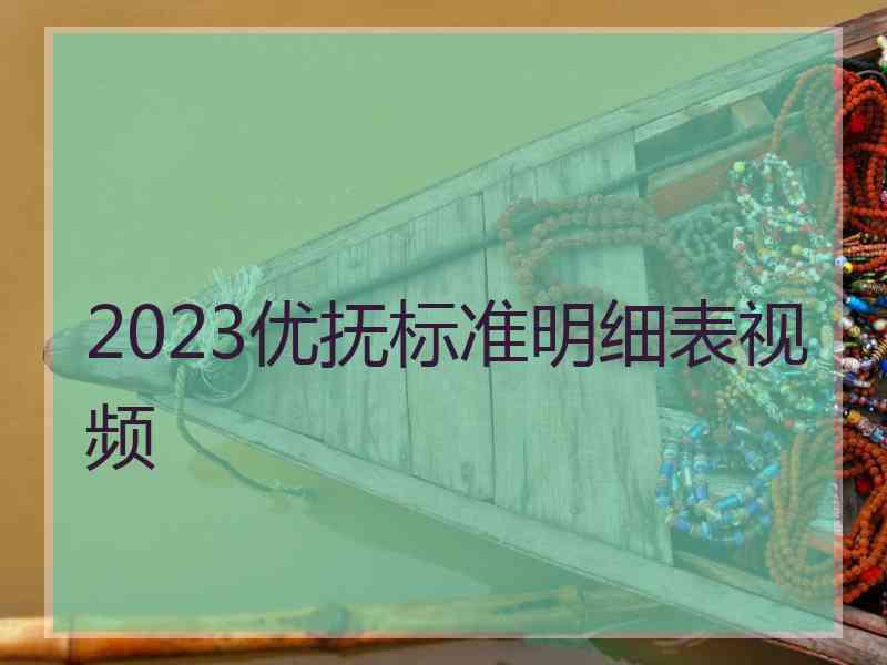 2023优抚标准明细表视频