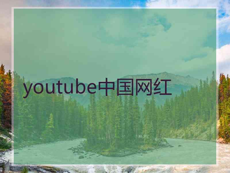 youtube中国网红