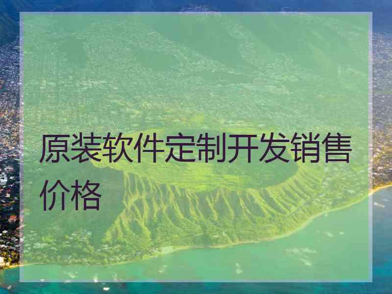 原装软件定制开发销售价格