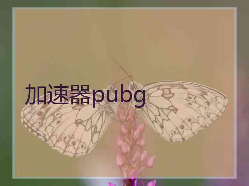 加速器pubg