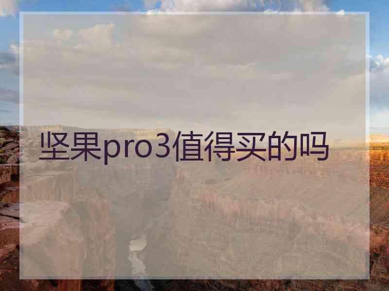 坚果pro3值得买的吗