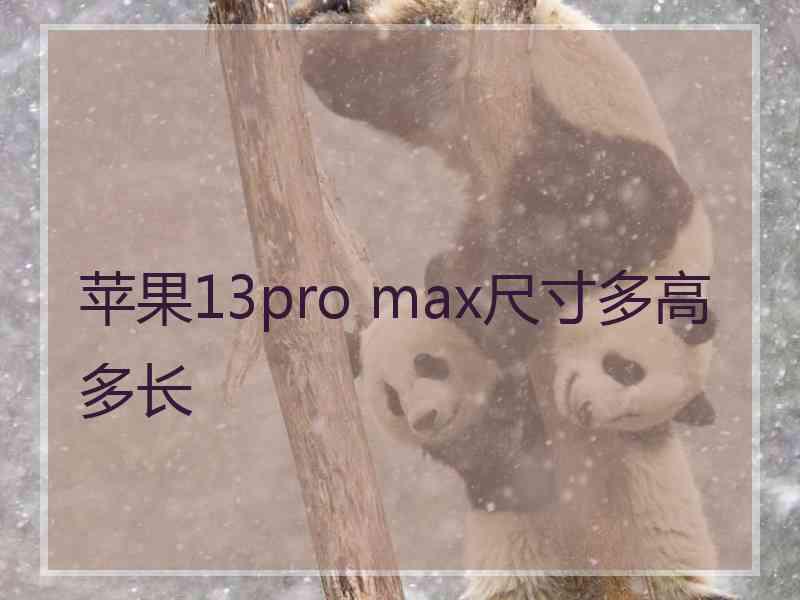 苹果13pro max尺寸多高多长