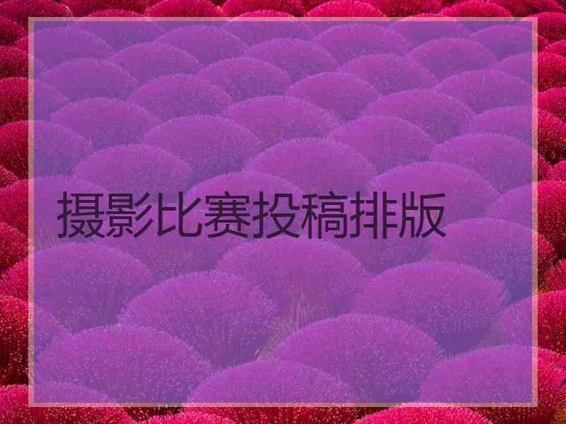 摄影比赛投稿排版