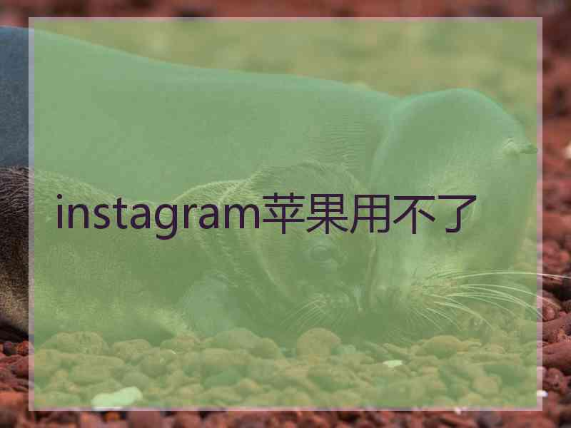 instagram苹果用不了