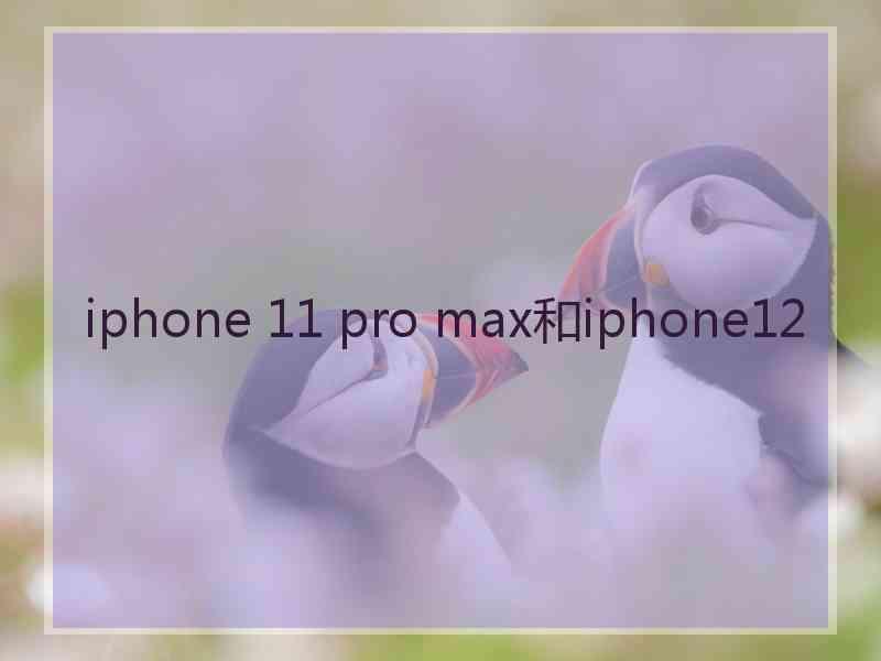 iphone 11 pro max和iphone12