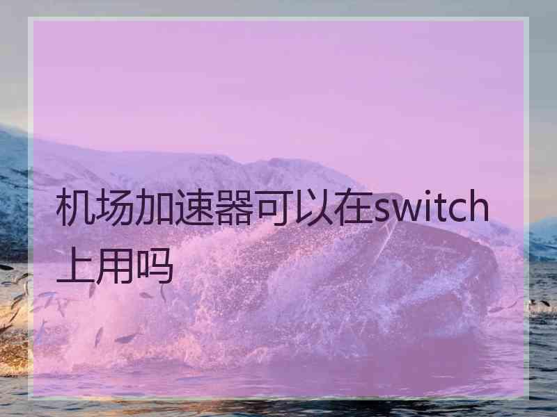 机场加速器可以在switch上用吗