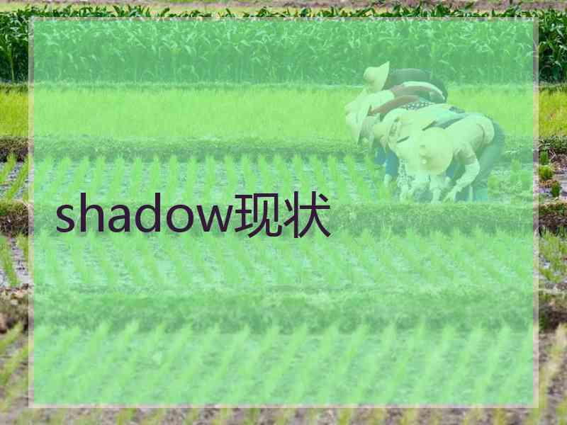 shadow现状