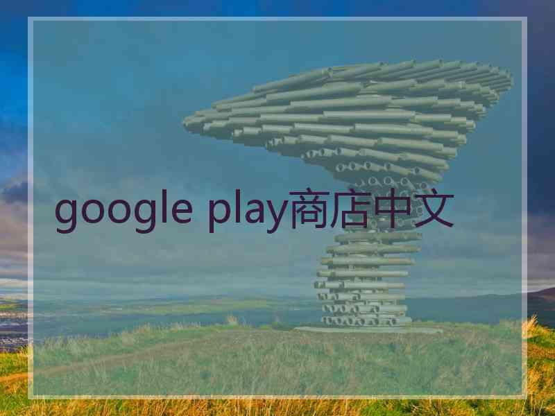 google play商店中文