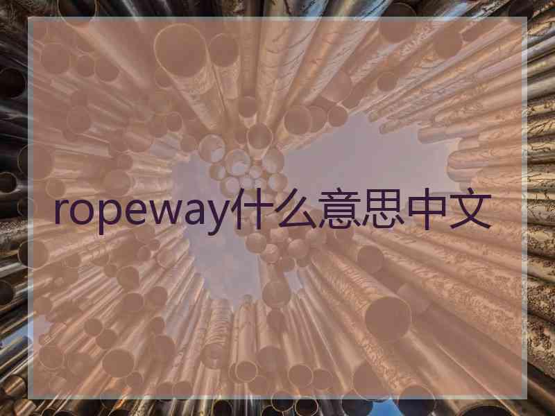 ropeway什么意思中文