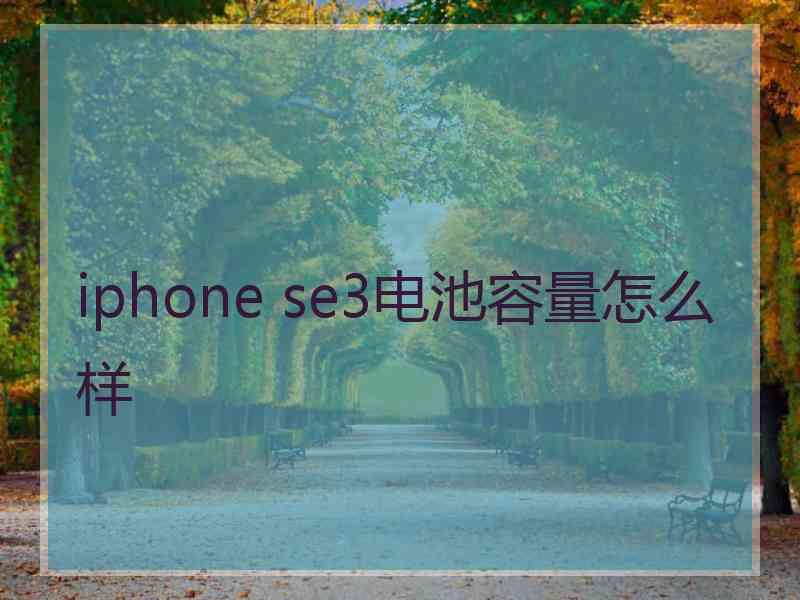 iphone se3电池容量怎么样