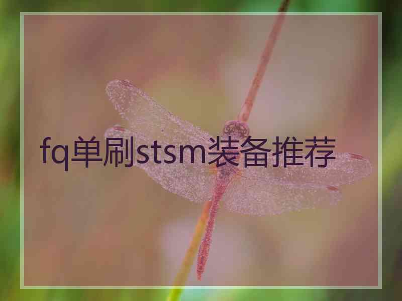 fq单刷stsm装备推荐