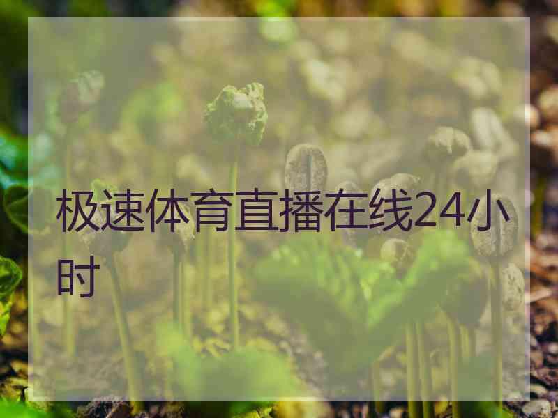 极速体育直播在线24小时