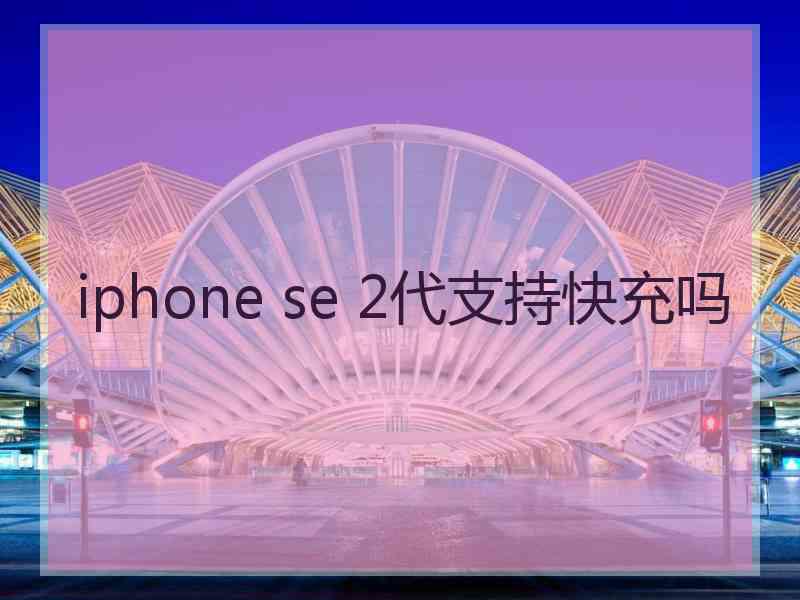 iphone se 2代支持快充吗