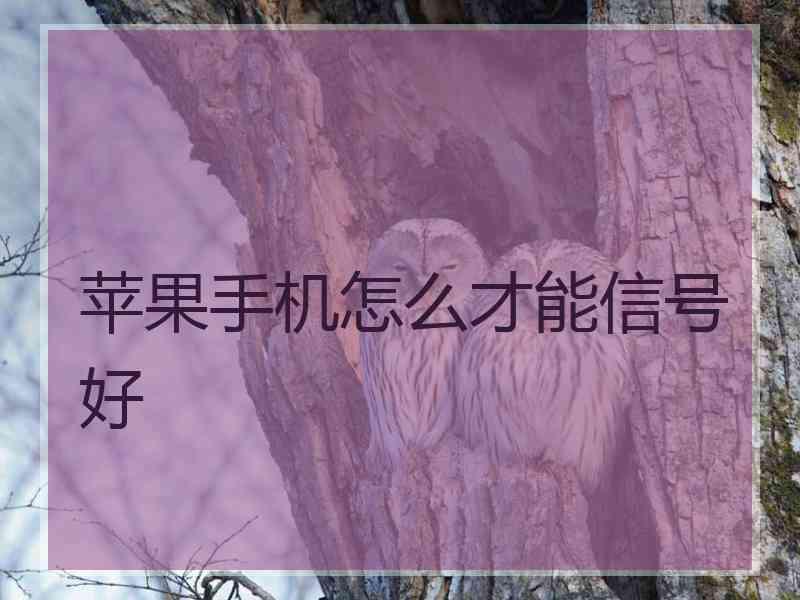 苹果手机怎么才能信号好