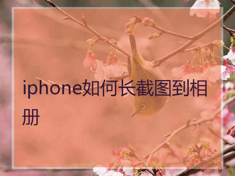 iphone如何长截图到相册