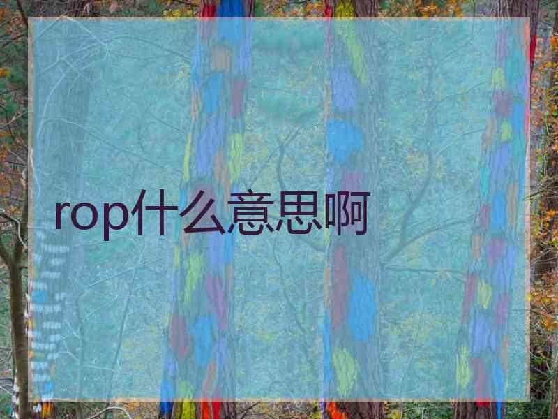 rop什么意思啊