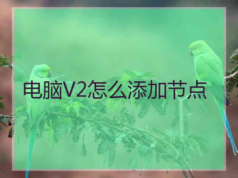 电脑V2怎么添加节点