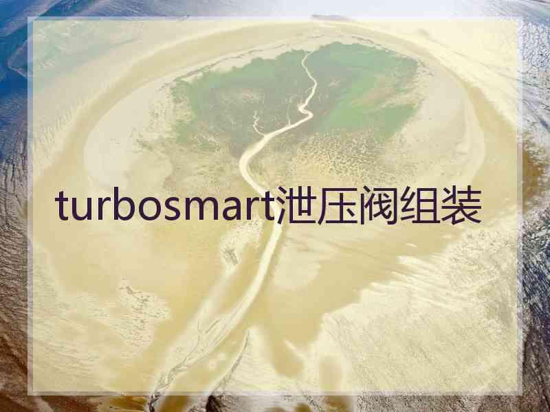 turbosmart泄压阀组装