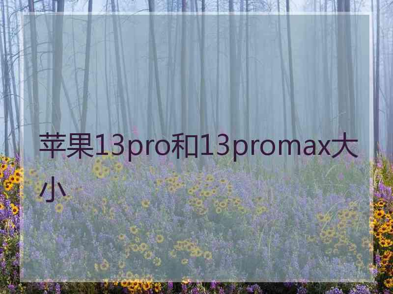 苹果13pro和13promax大小