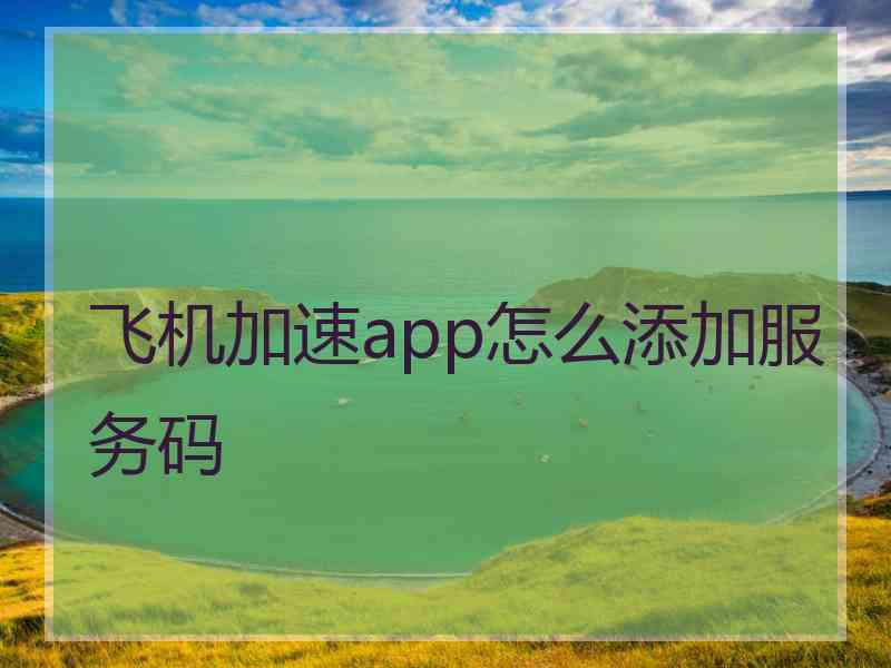 飞机加速app怎么添加服务码