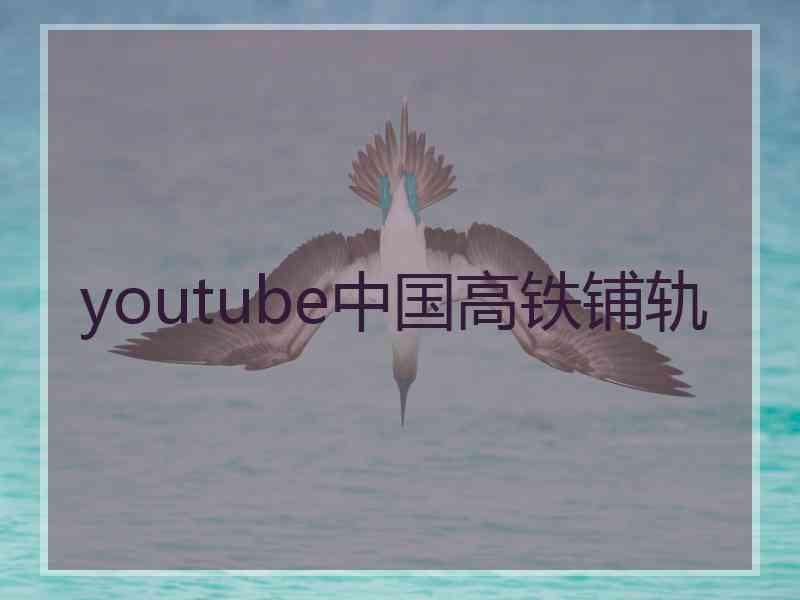 youtube中国高铁铺轨