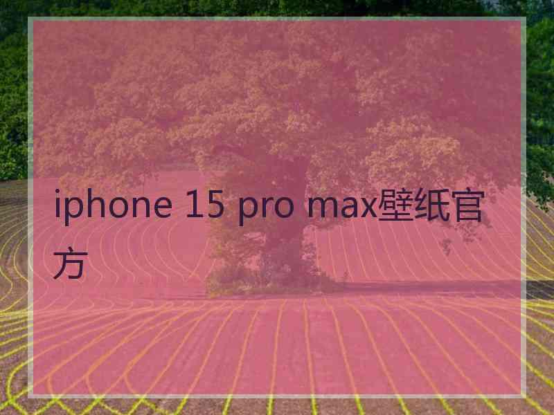 iphone 15 pro max壁纸官方