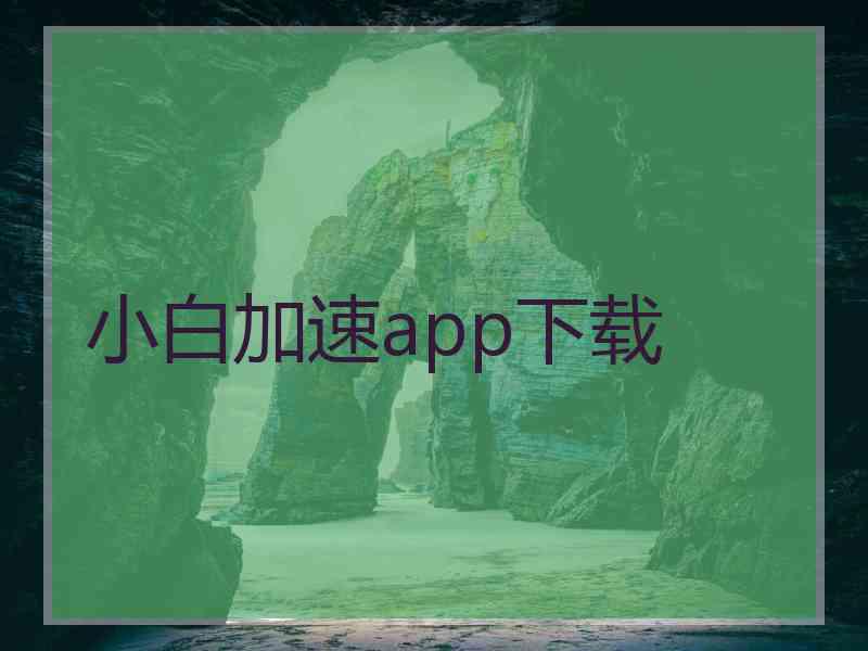 小白加速app下载