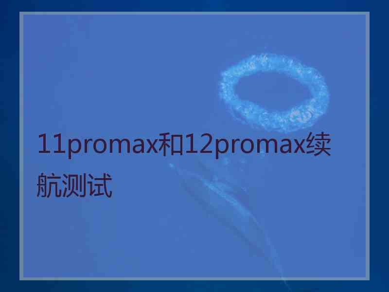 11promax和12promax续航测试