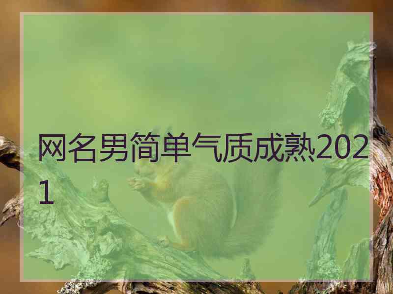 网名男简单气质成熟2021