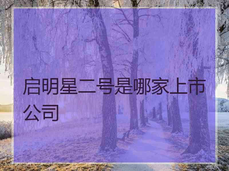 启明星二号是哪家上市公司