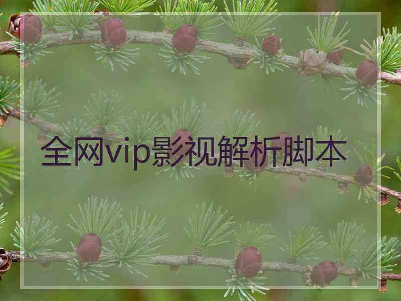 全网vip影视解析脚本