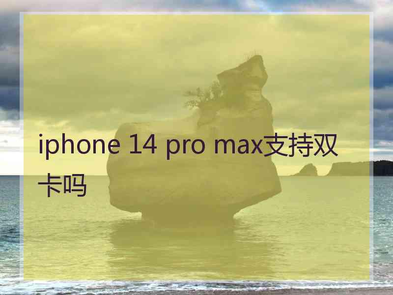 iphone 14 pro max支持双卡吗