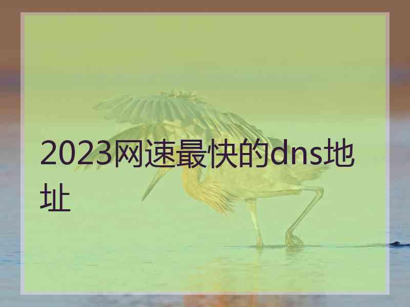 2023网速最快的dns地址