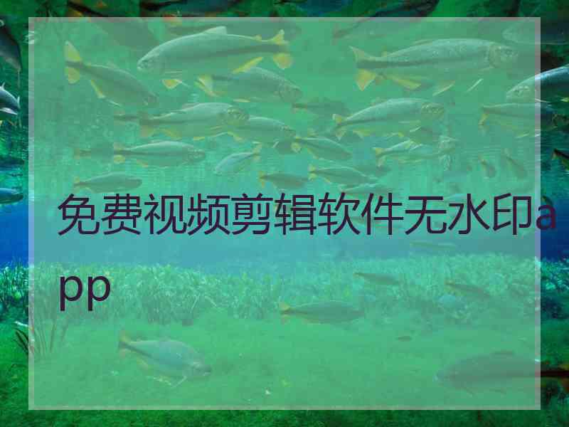 免费视频剪辑软件无水印app