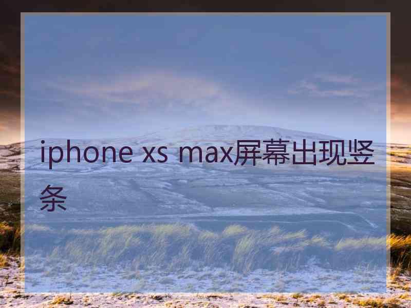 iphone xs max屏幕出现竖条